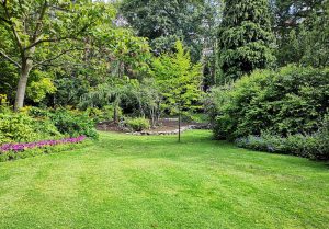 Optimiser l'expérience du jardin à Mesnard-la-Barotiere
